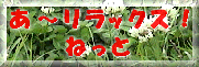 �}�b�T�[�W